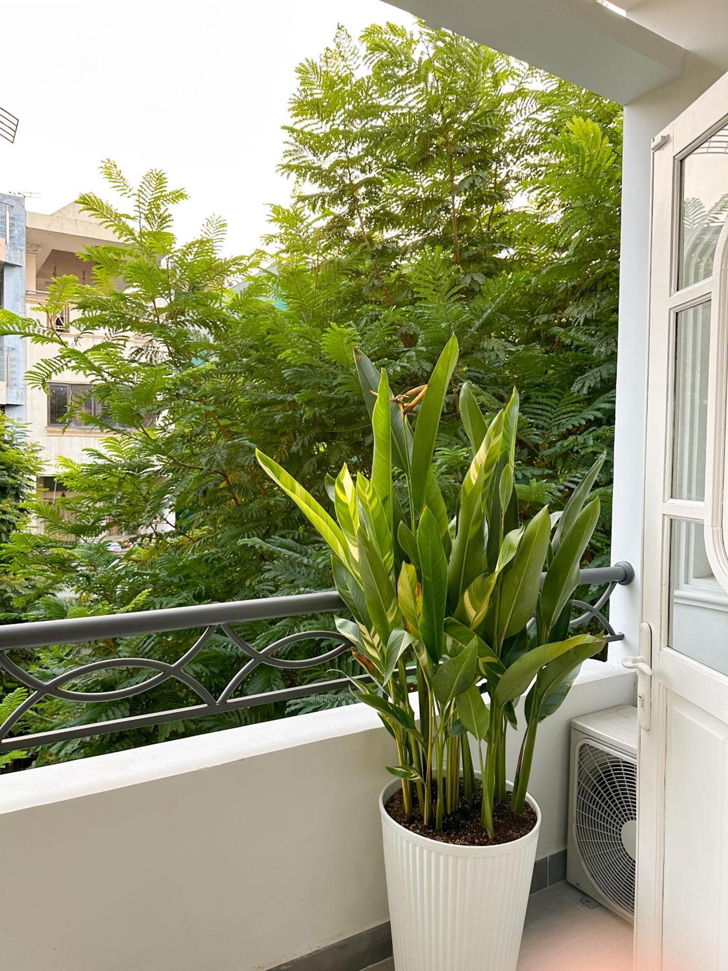 Calmette Home - Best Location District 1 - 500M Ben Thanh Market Ciudad Ho Chi Minh  Exterior foto